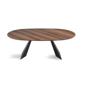 white-TOKYO _ nero eucalipto _ frontale